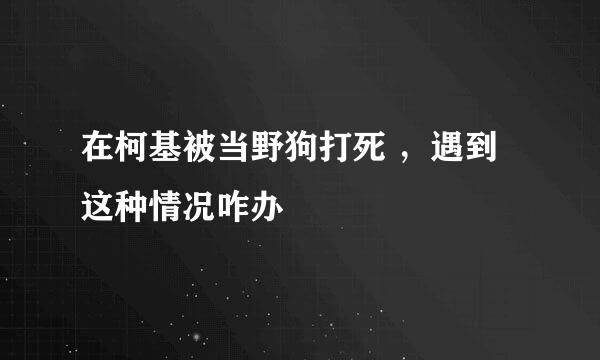 在柯基被当野狗打死 ，遇到这种情况咋办