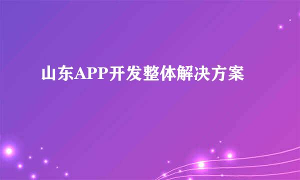 山东APP开发整体解决方案