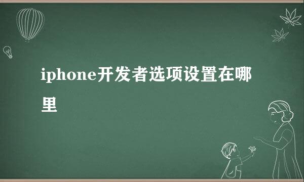 iphone开发者选项设置在哪里