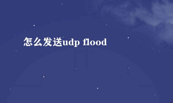 怎么发送udp flood