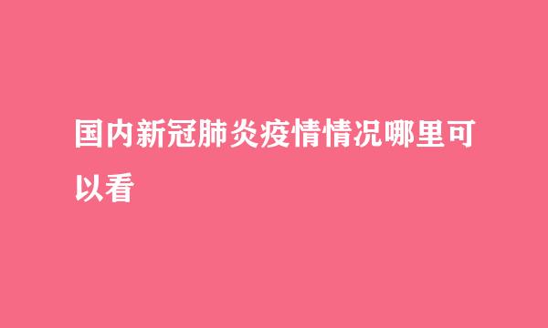 国内新冠肺炎疫情情况哪里可以看