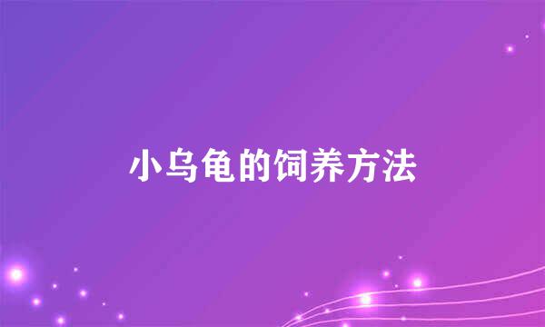 小乌龟的饲养方法