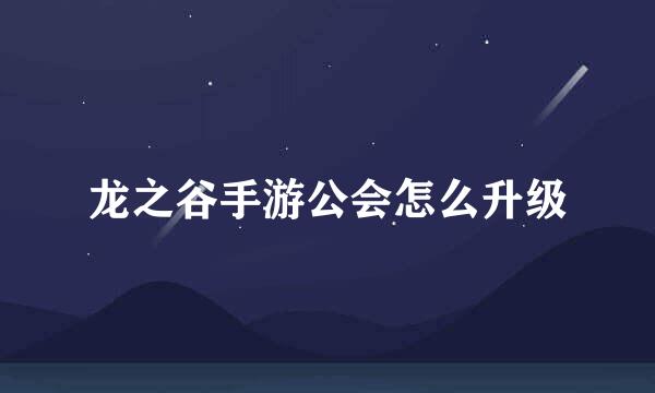 龙之谷手游公会怎么升级