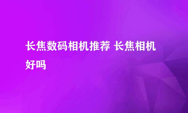 长焦数码相机推荐 长焦相机好吗