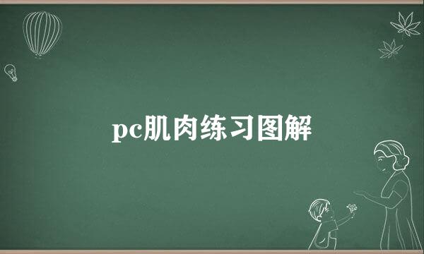 pc肌肉练习图解