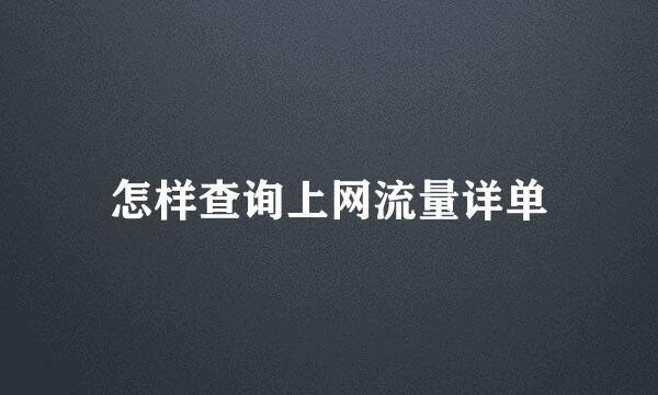 怎样查询上网流量详单