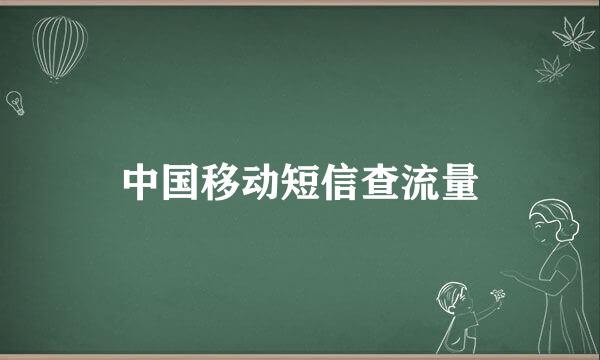 中国移动短信查流量