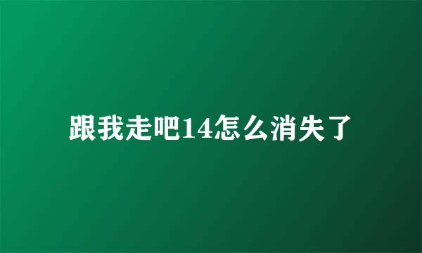 跟我走吧14怎么消失了