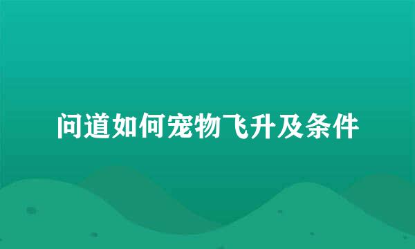 问道如何宠物飞升及条件