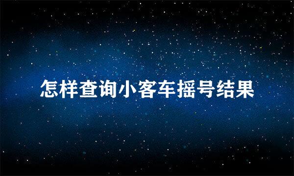 怎样查询小客车摇号结果