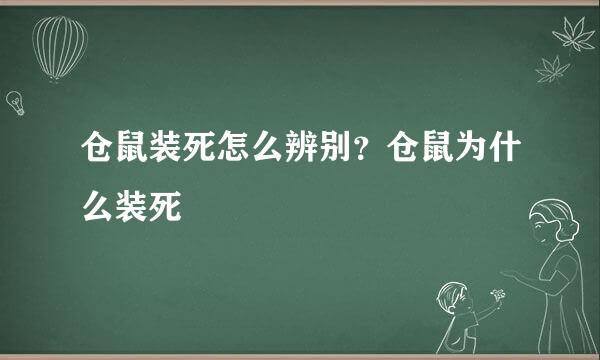 仓鼠装死怎么辨别？仓鼠为什么装死