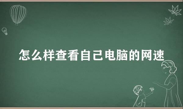 怎么样查看自己电脑的网速