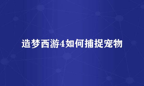 造梦西游4如何捕捉宠物