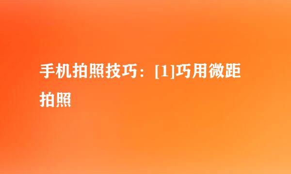 手机拍照技巧：[1]巧用微距拍照