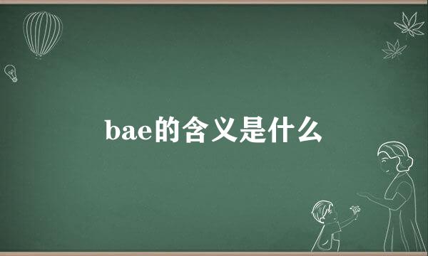 bae的含义是什么