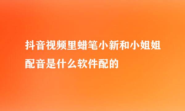 抖音视频里蜡笔小新和小姐姐配音是什么软件配的