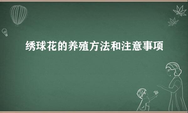 绣球花的养殖方法和注意事项