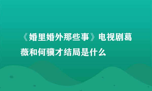 《婚里婚外那些事》电视剧葛薇和何骥才结局是什么