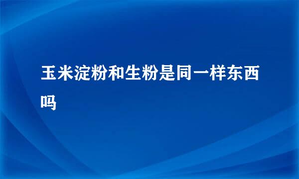 玉米淀粉和生粉是同一样东西吗