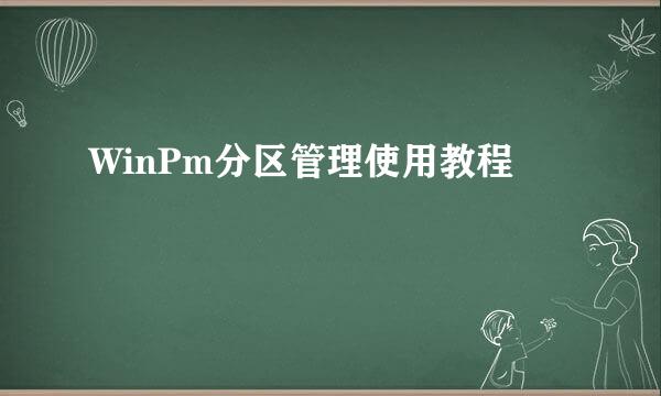 WinPm分区管理使用教程