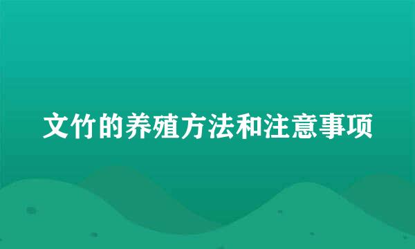 文竹的养殖方法和注意事项