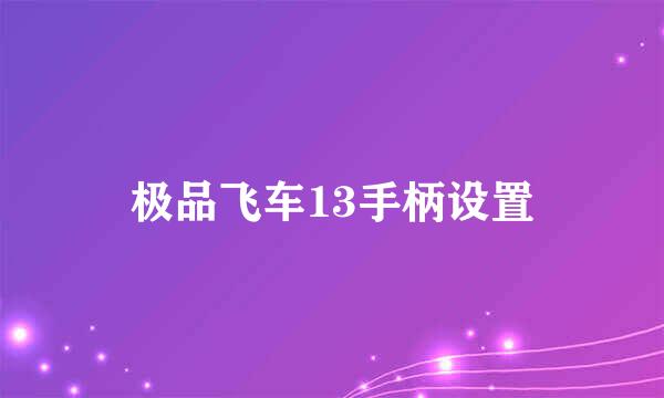 极品飞车13手柄设置