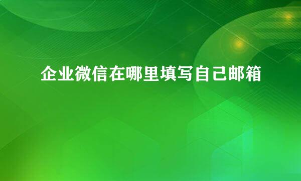 企业微信在哪里填写自己邮箱