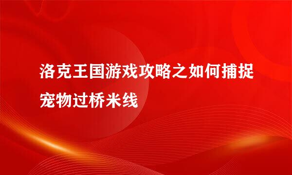 洛克王国游戏攻略之如何捕捉宠物过桥米线