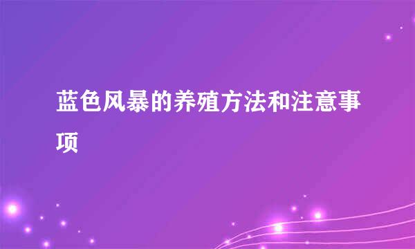 蓝色风暴的养殖方法和注意事项