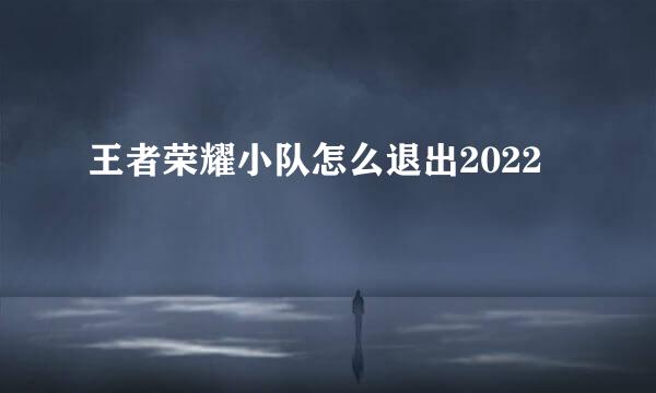 王者荣耀小队怎么退出2022