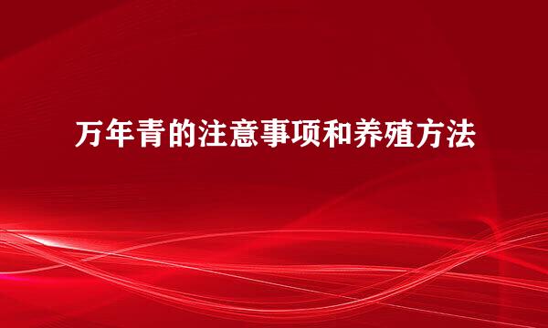 万年青的注意事项和养殖方法