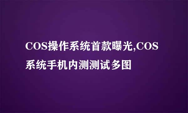 COS操作系统首款曝光,COS系统手机内测测试多图