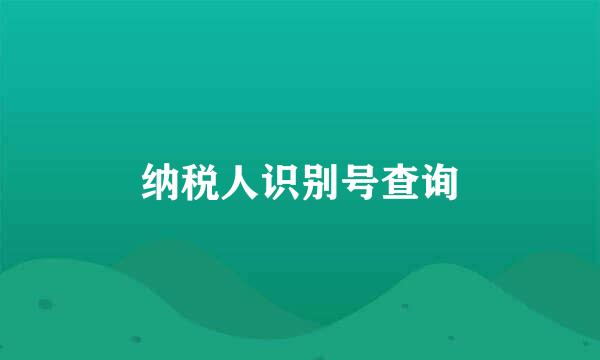 纳税人识别号查询