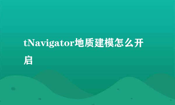 tNavigator地质建模怎么开启