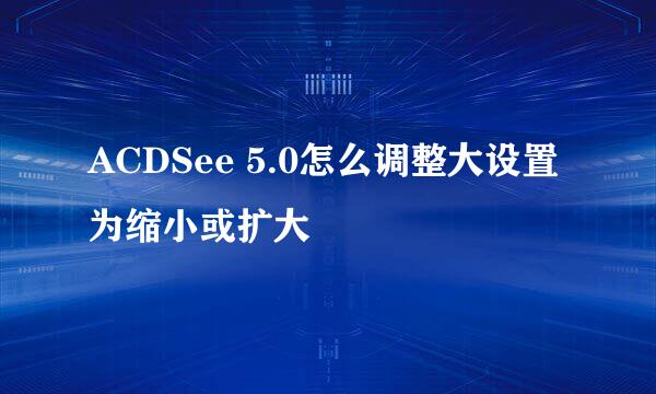 ACDSee 5.0怎么调整大设置为缩小或扩大