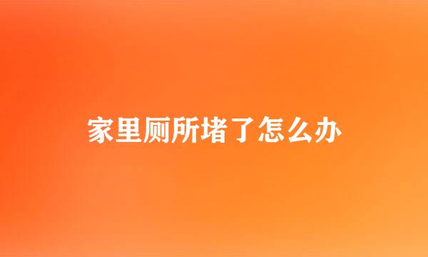 家里厕所堵了怎么办