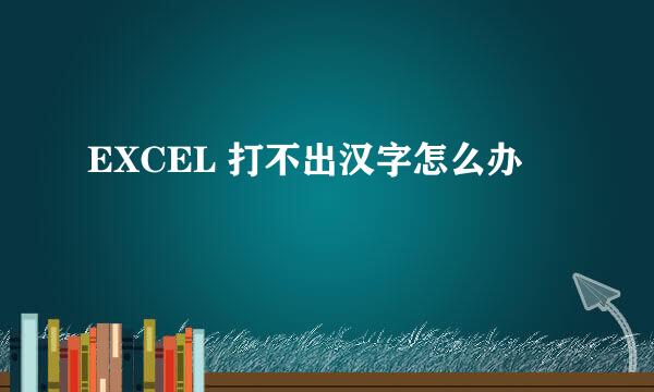 EXCEL 打不出汉字怎么办