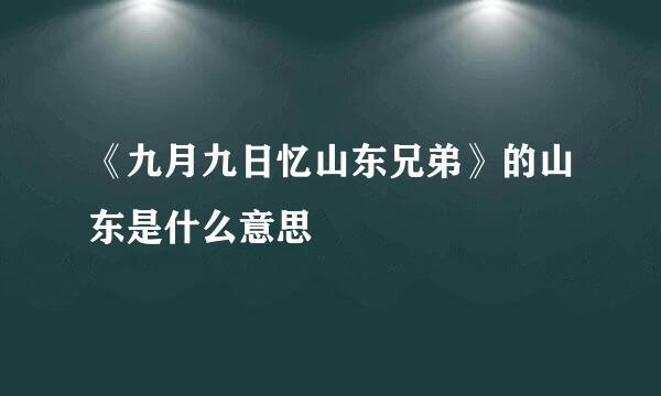 《九月九日忆山东兄弟》的山东是什么意思