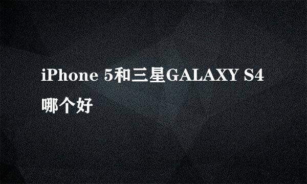 iPhone 5和三星GALAXY S4哪个好