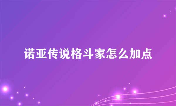 诺亚传说格斗家怎么加点