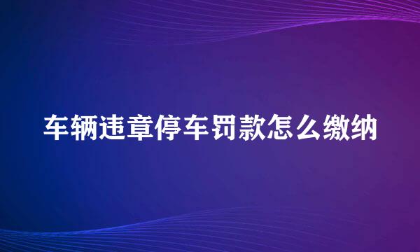 车辆违章停车罚款怎么缴纳