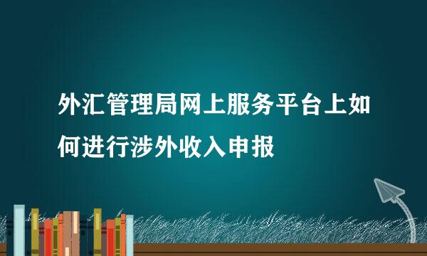 外汇管理局网上服务平台上如何进行涉外收入申报