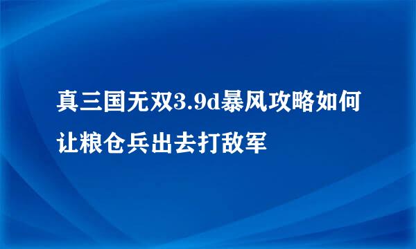 真三国无双3.9d暴风攻略如何让粮仓兵出去打敌军