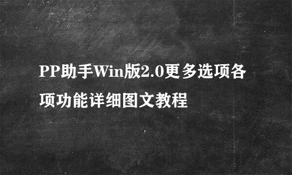 PP助手Win版2.0更多选项各项功能详细图文教程