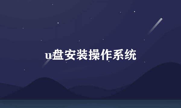 u盘安装操作系统