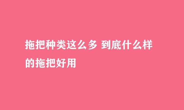 拖把种类这么多 到底什么样的拖把好用