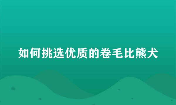 如何挑选优质的卷毛比熊犬