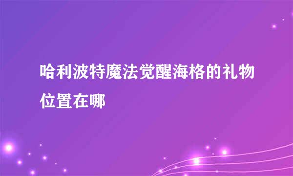 哈利波特魔法觉醒海格的礼物位置在哪