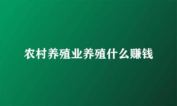 农村养殖业养殖什么赚钱