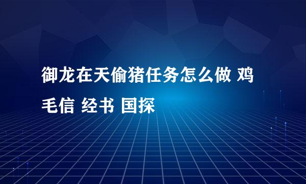 御龙在天偷猪任务怎么做 鸡毛信 经书 国探